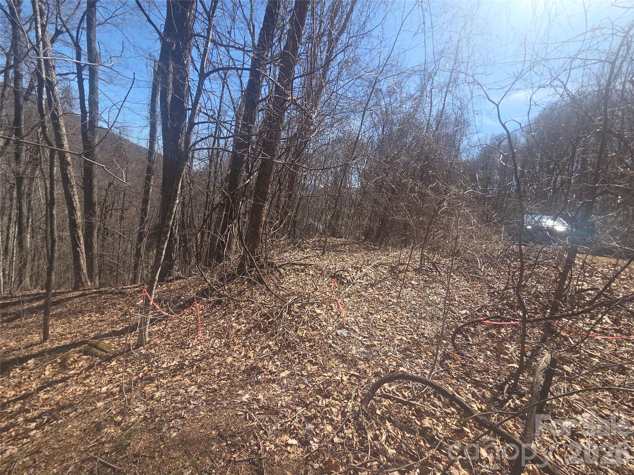 820 Chestnut Flats Lane 4