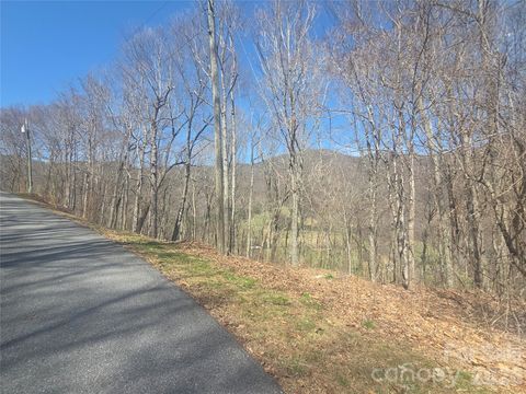820 Chestnut Flats Lane 4 Waynesville NC 28786