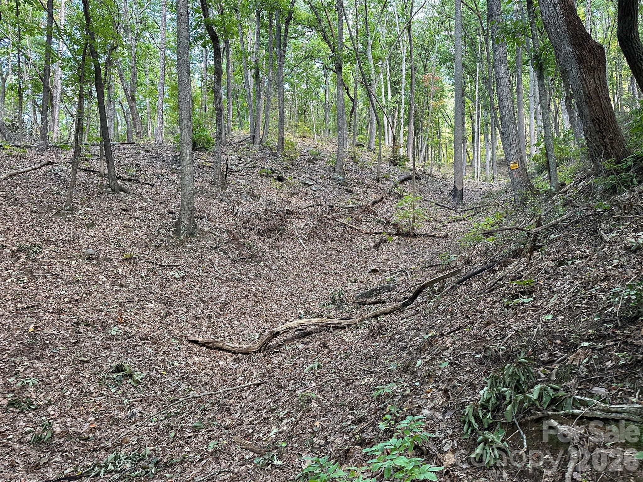 0 Hildebran Mountain Avenue