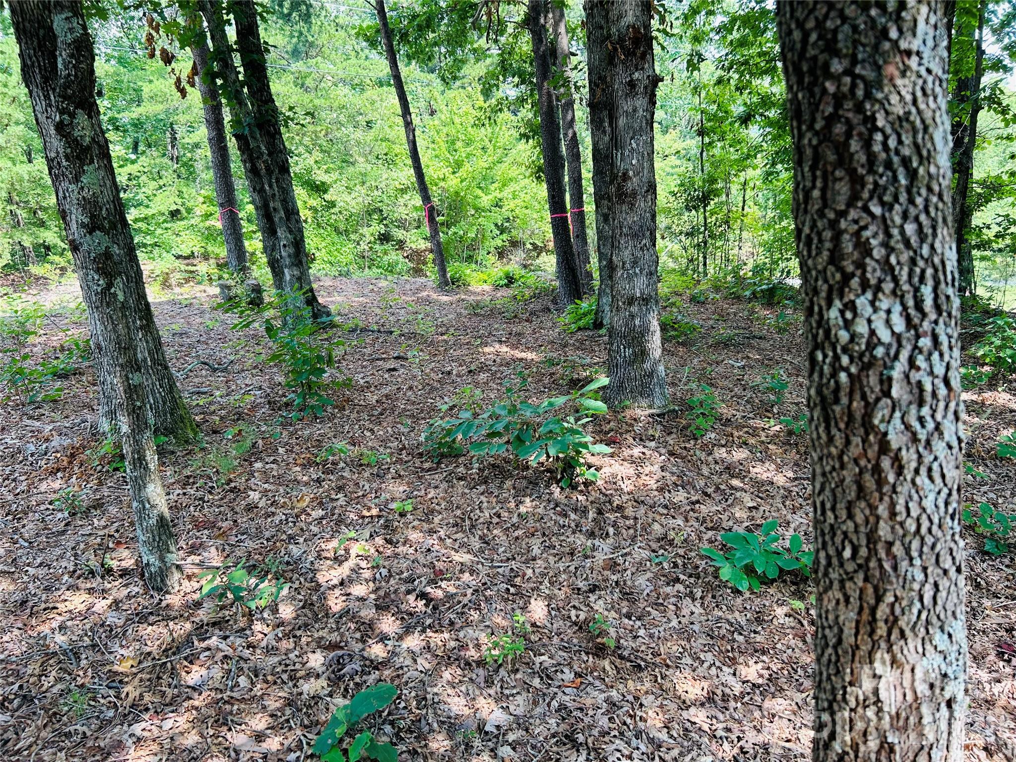 Pine Mountain Estates - Residential