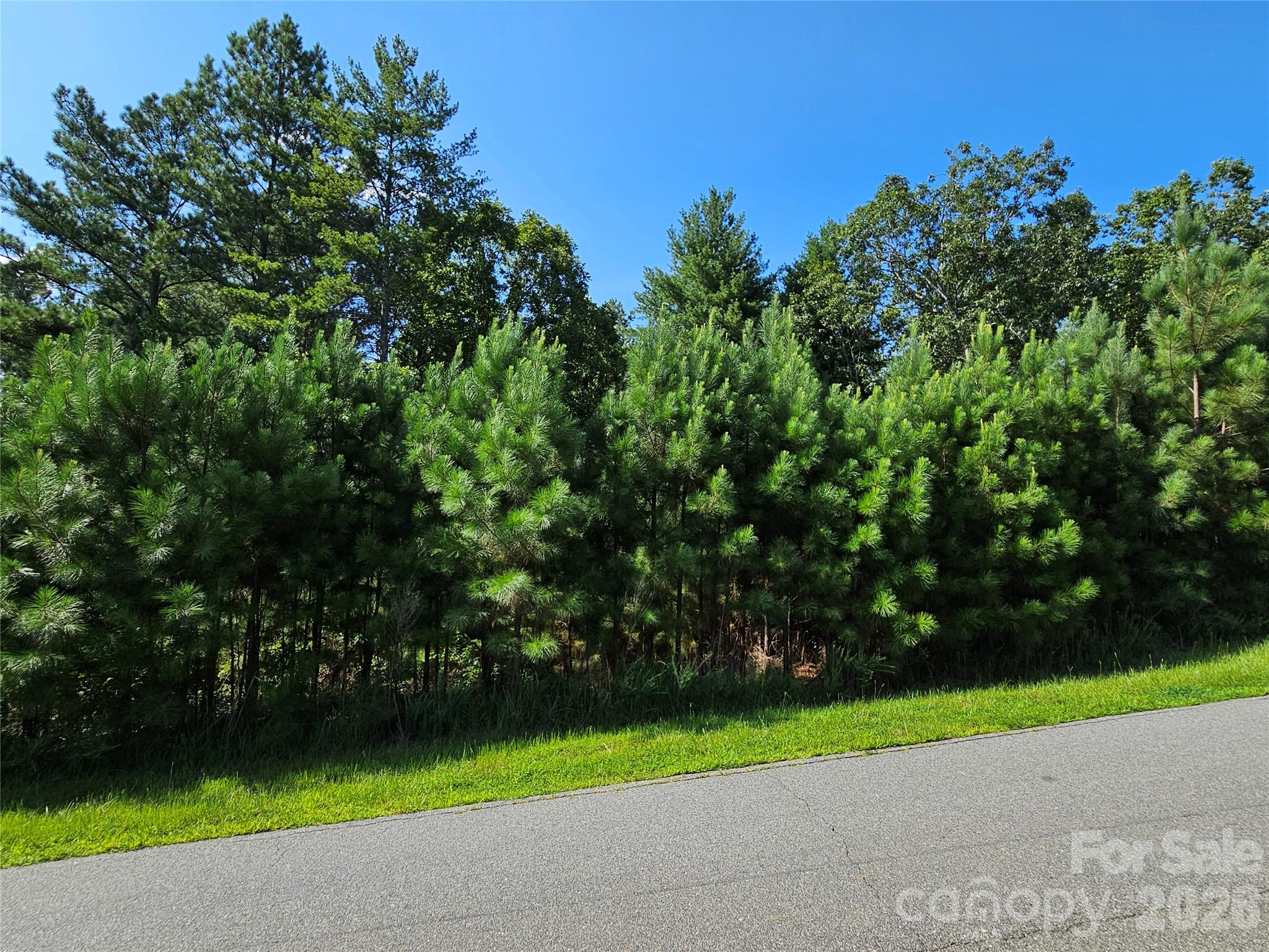 TBD Coveside Drive 149