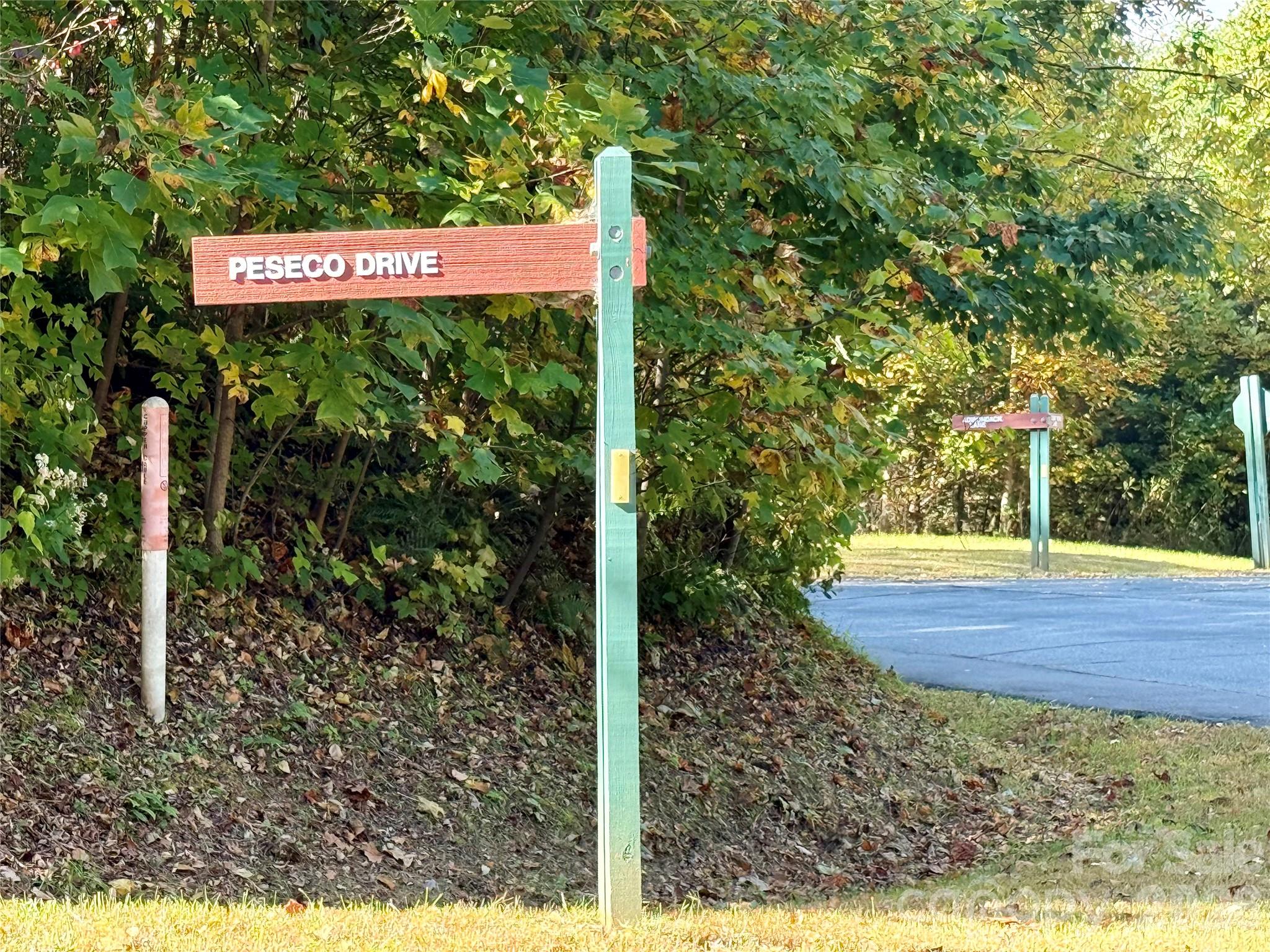 Lot 45 Peseco Drive 45