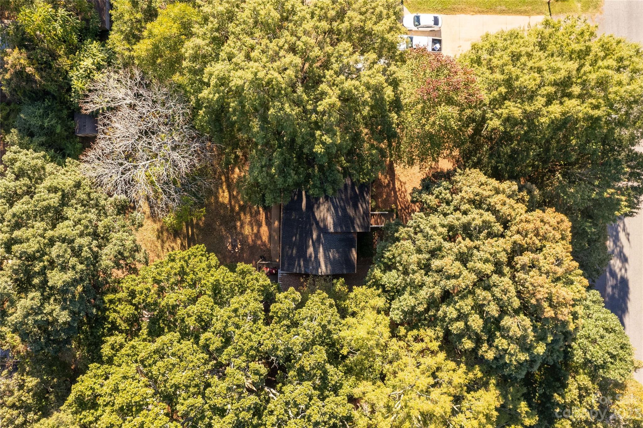 Starcliff - Residential