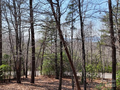 A home in Lake Lure