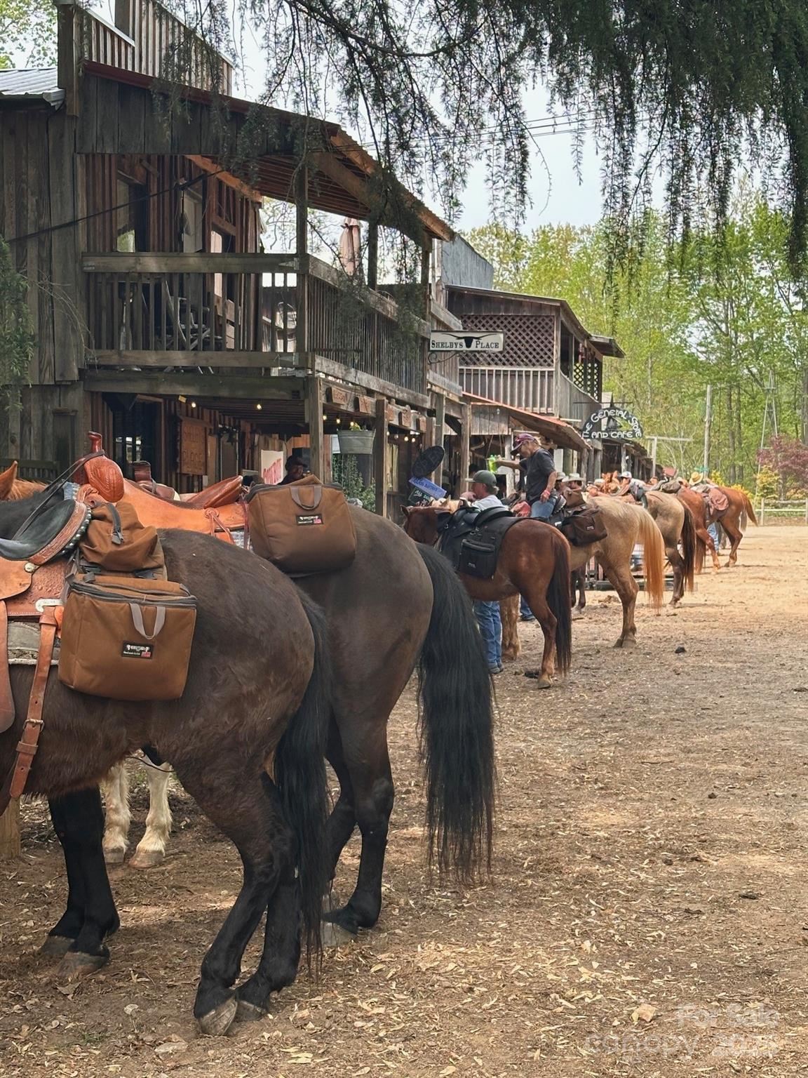 175 Henry Martin Trail