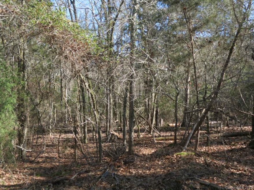 Beautiful track of land, located in the northern part of Chester County. Property has a slightly rolling topo, and a  great mixture of hardwoods and pines. It also has an existing road system, which includes some great trails throughout, and a nice size food plot for wildlife.  Property is ideal for private home site or recreational usage.