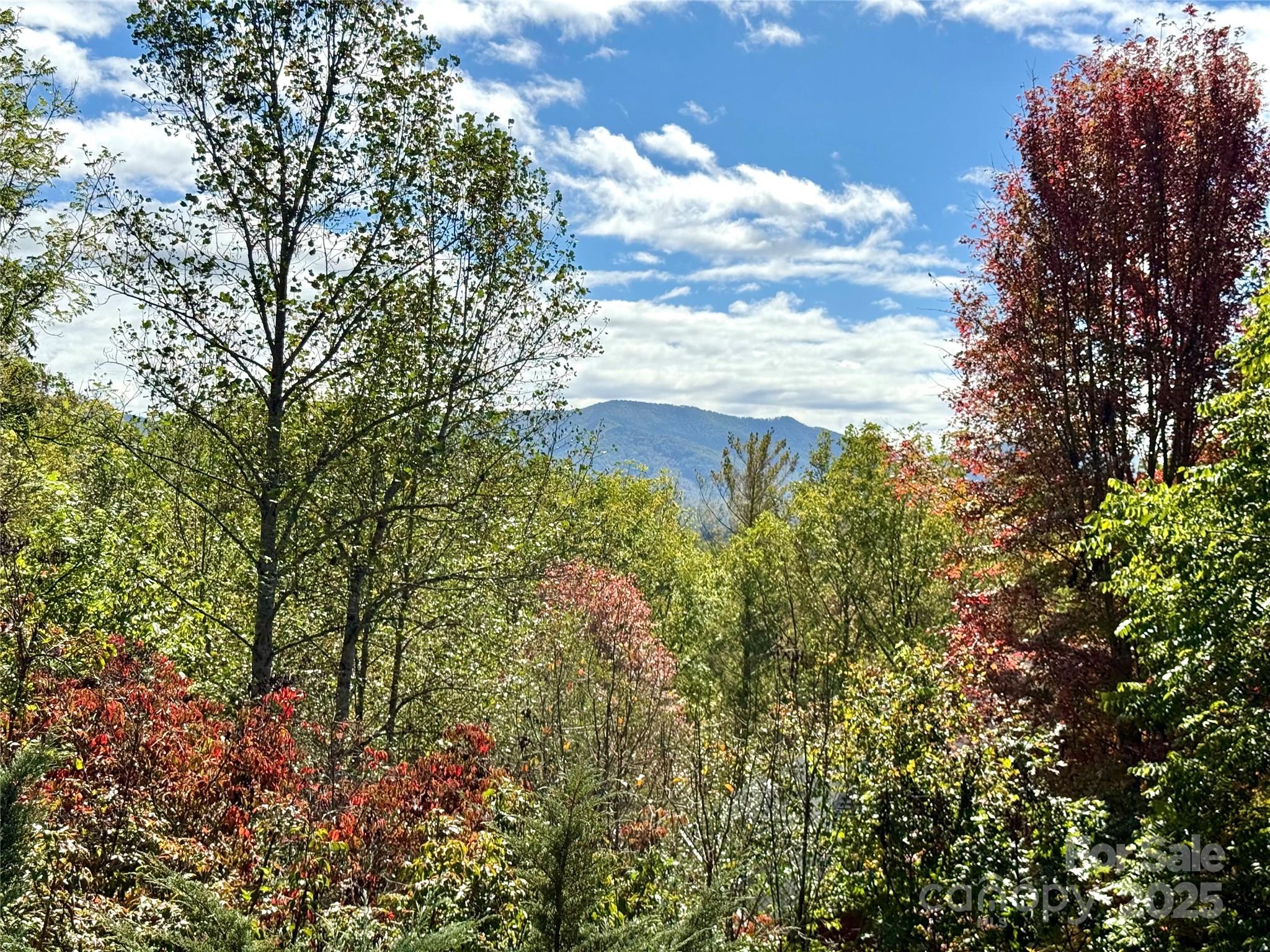 212 Blue Ridge Vista