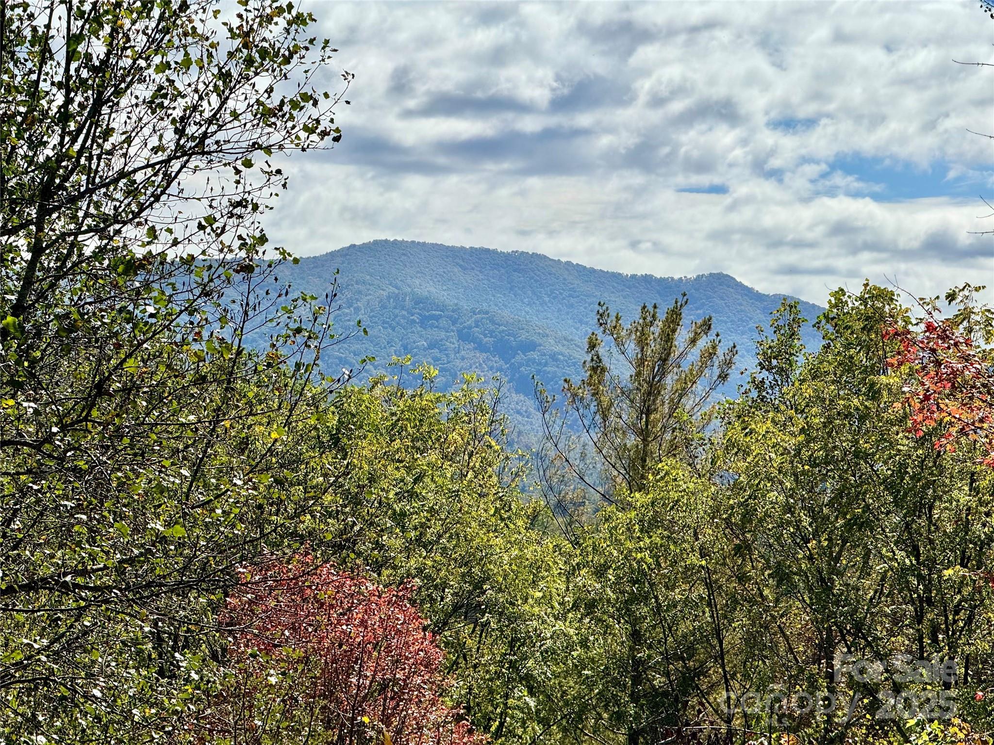 212 Blue Ridge Vista