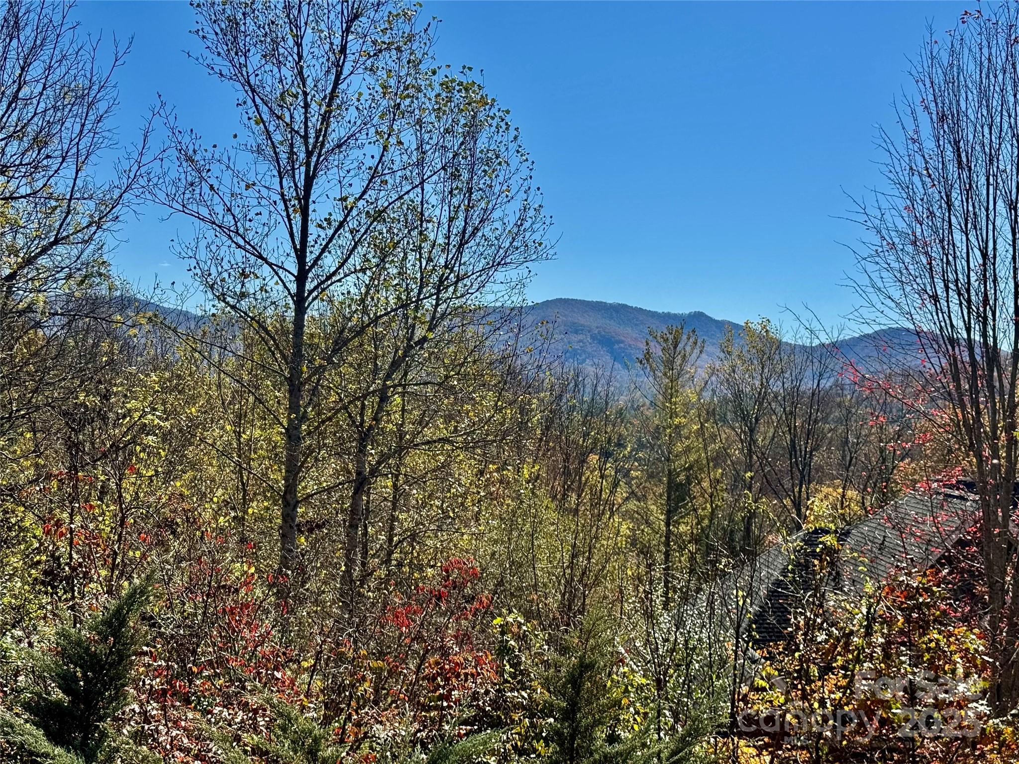 212 Blue Ridge Vista