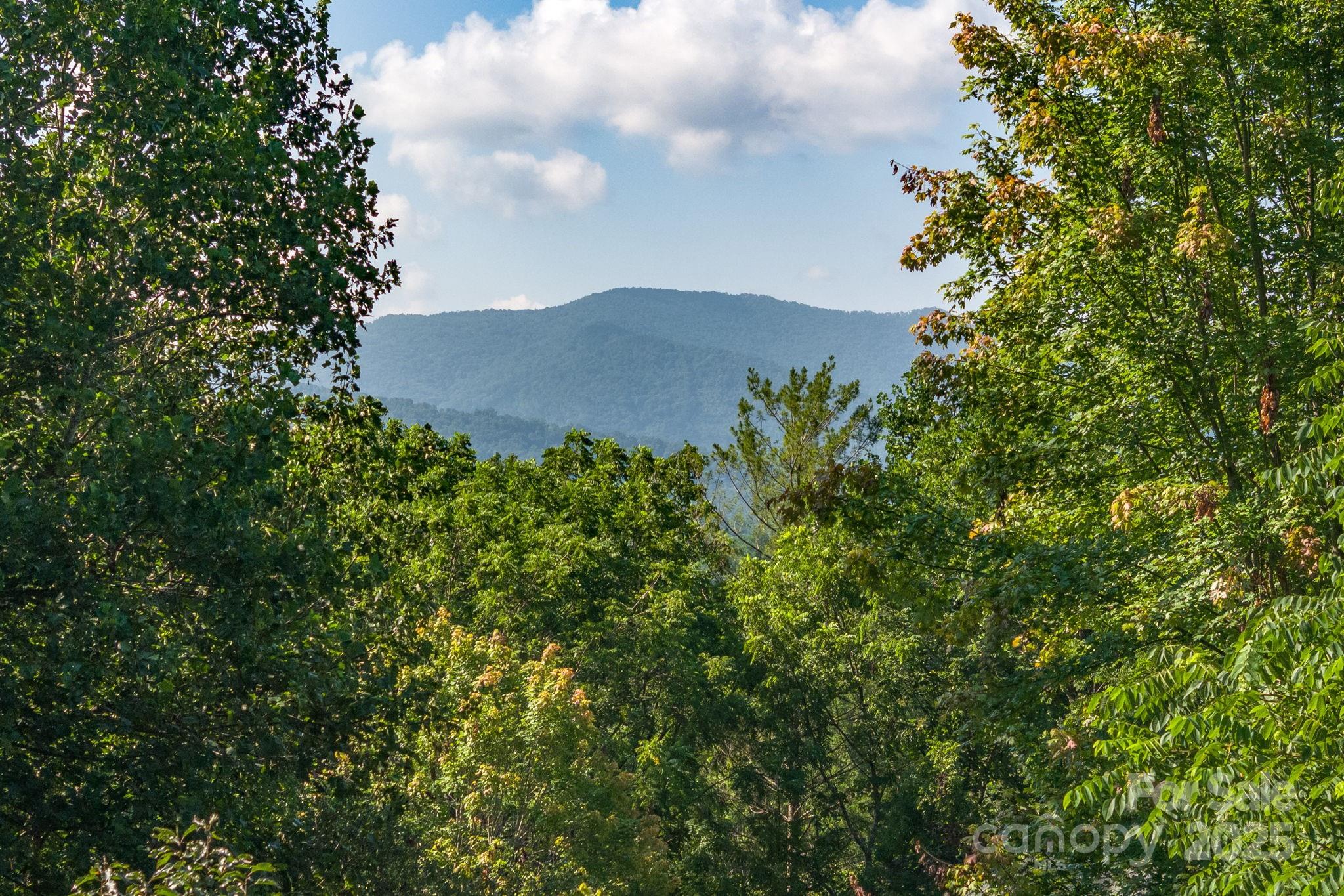 212 Blue Ridge Vista