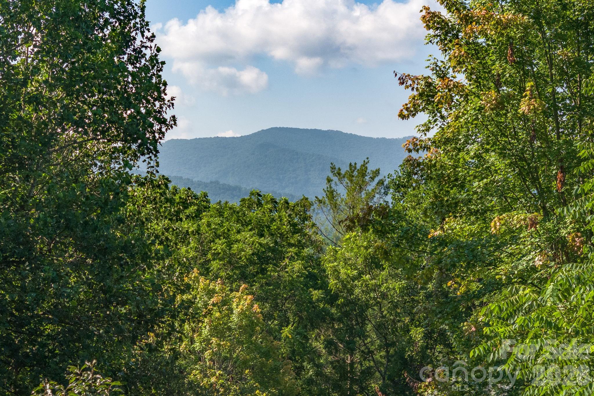 212 Blue Ridge Vista