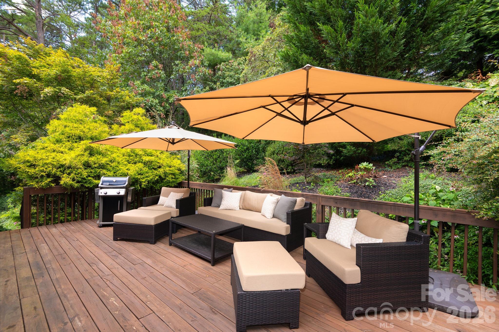 Buffalo Mountain - Residential