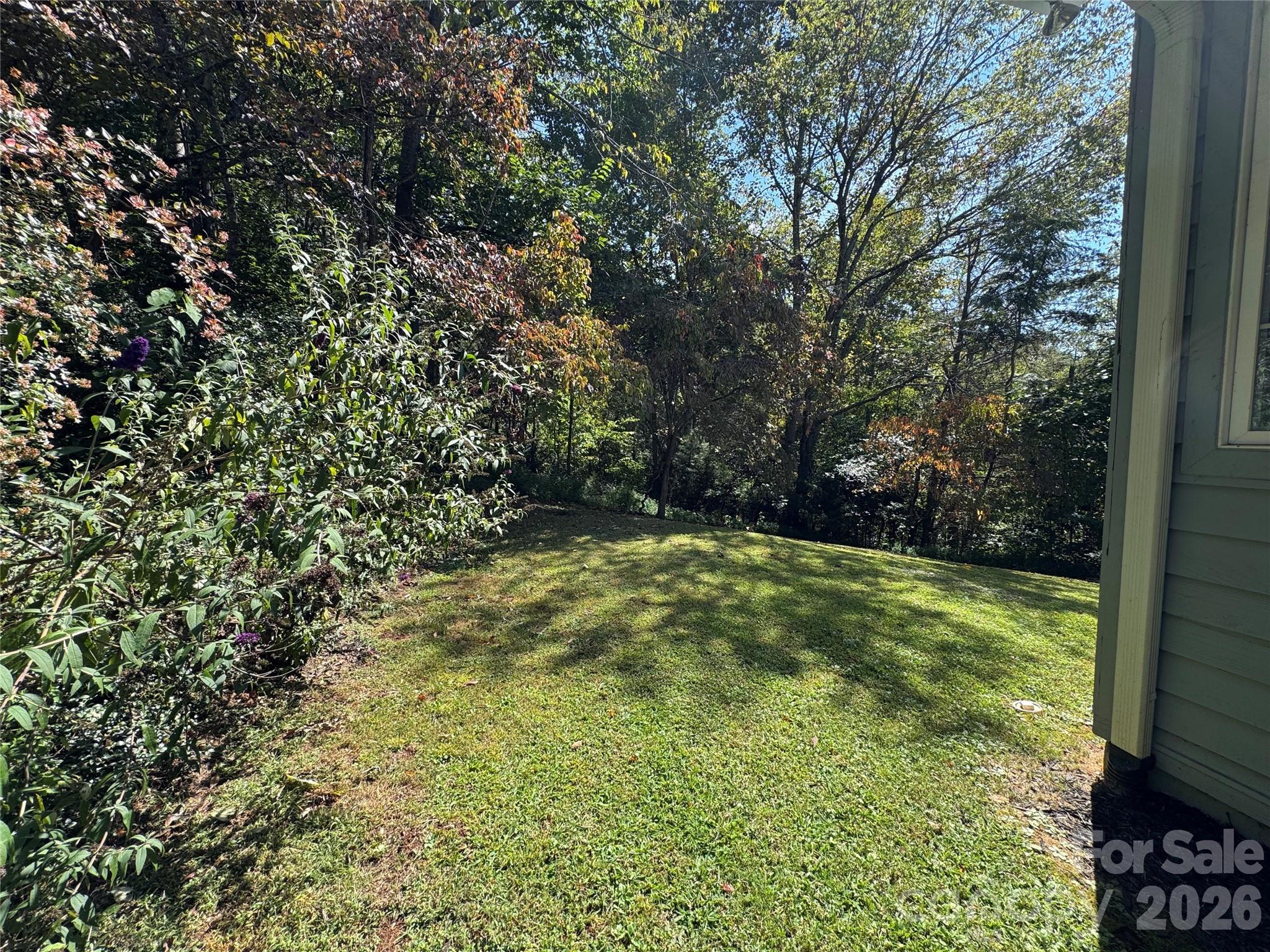 Buffalo Mountain - Residential