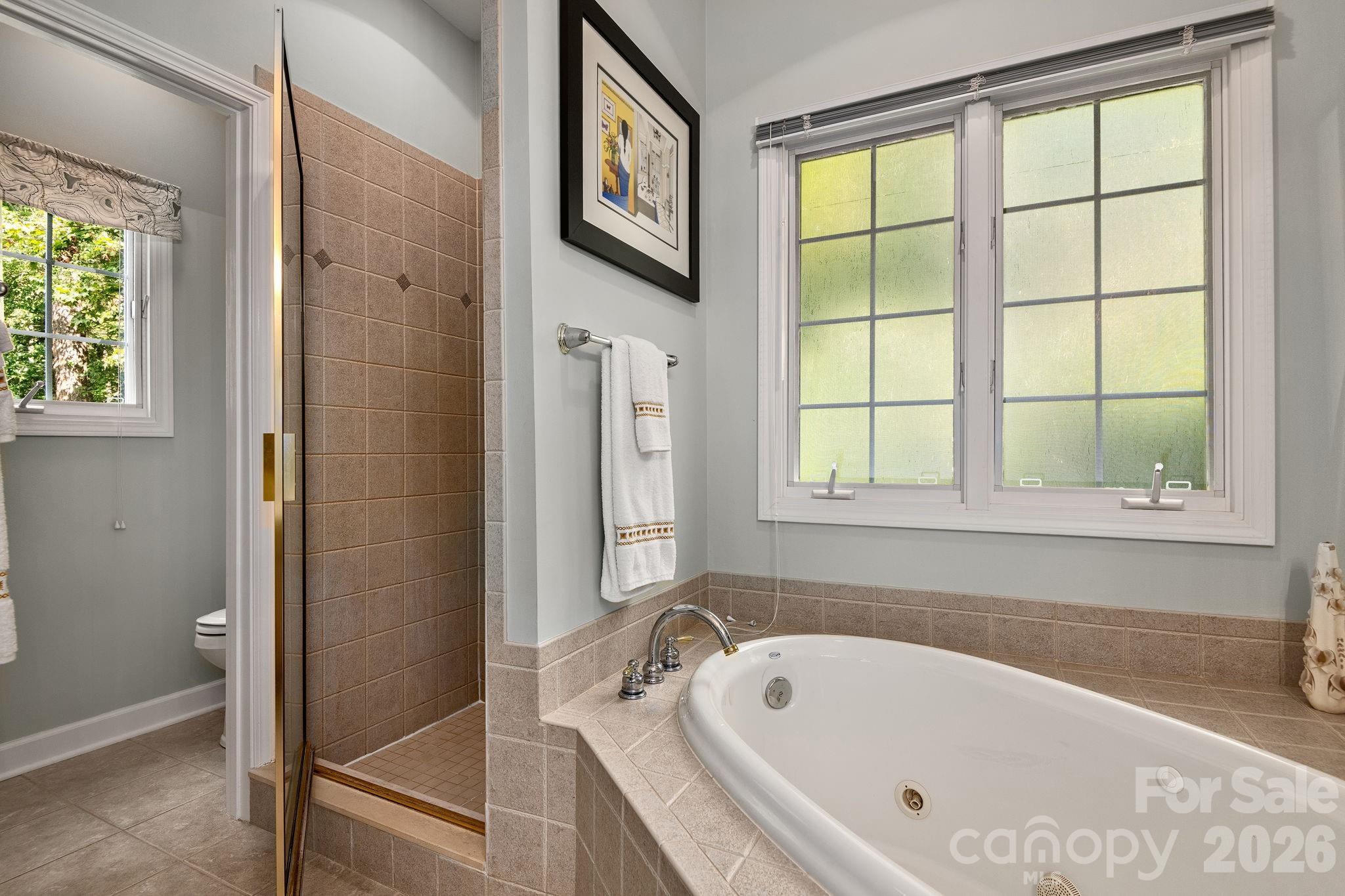 Buffalo Mountain - Residential