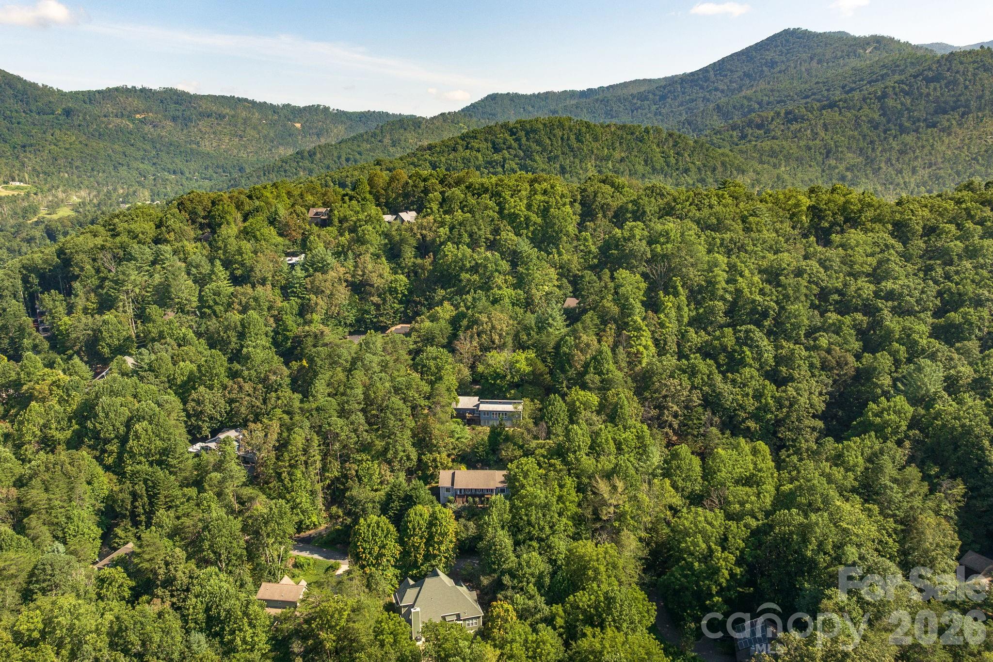 Buffalo Mountain - Residential