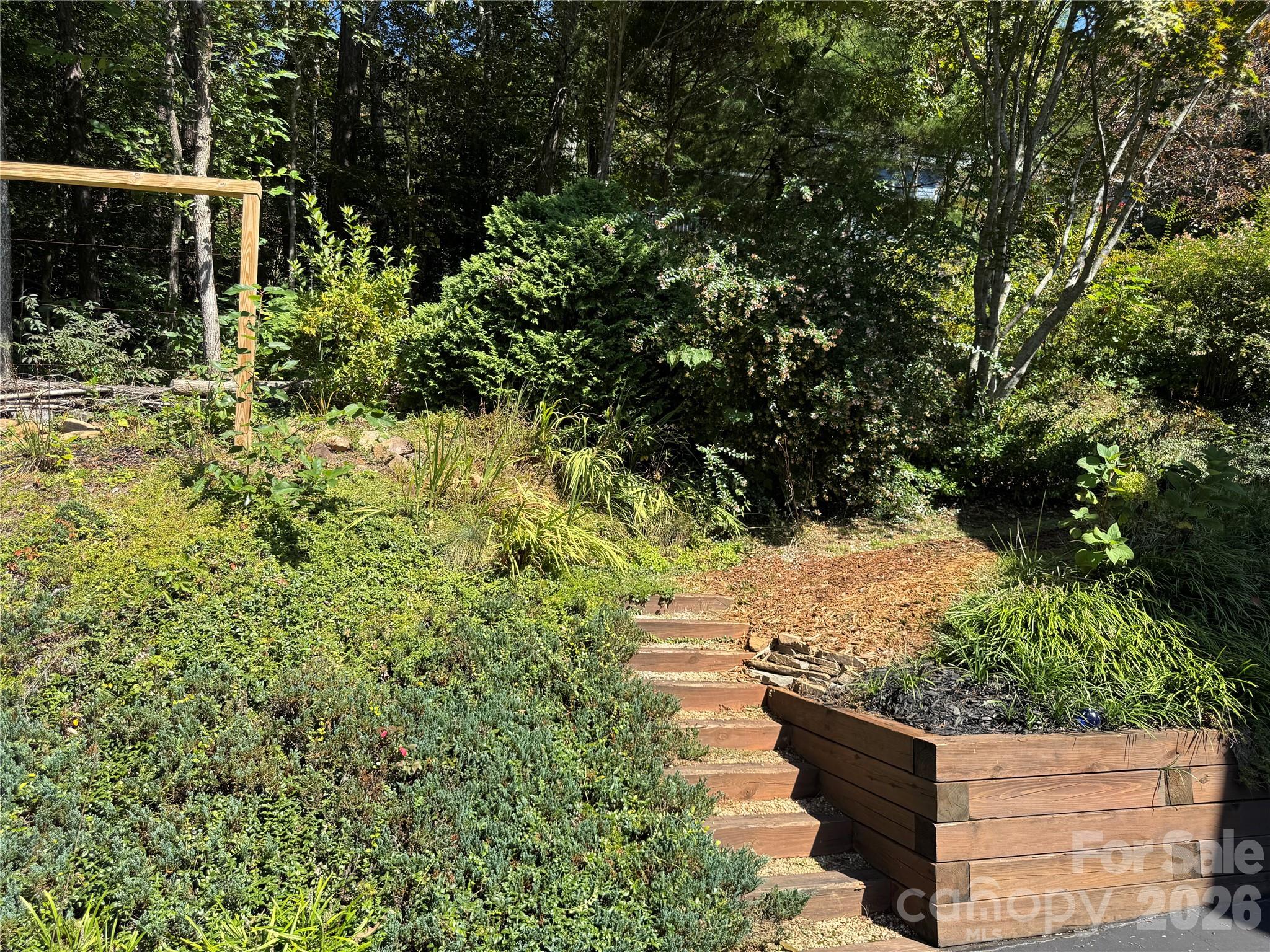 Buffalo Mountain - Residential