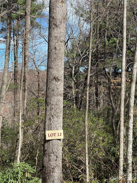 Photo for 000 Eagle Ridge Road