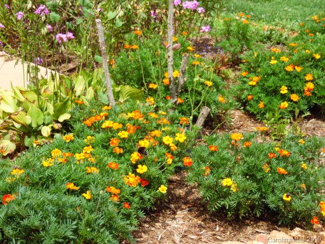 Glenwood - Residential