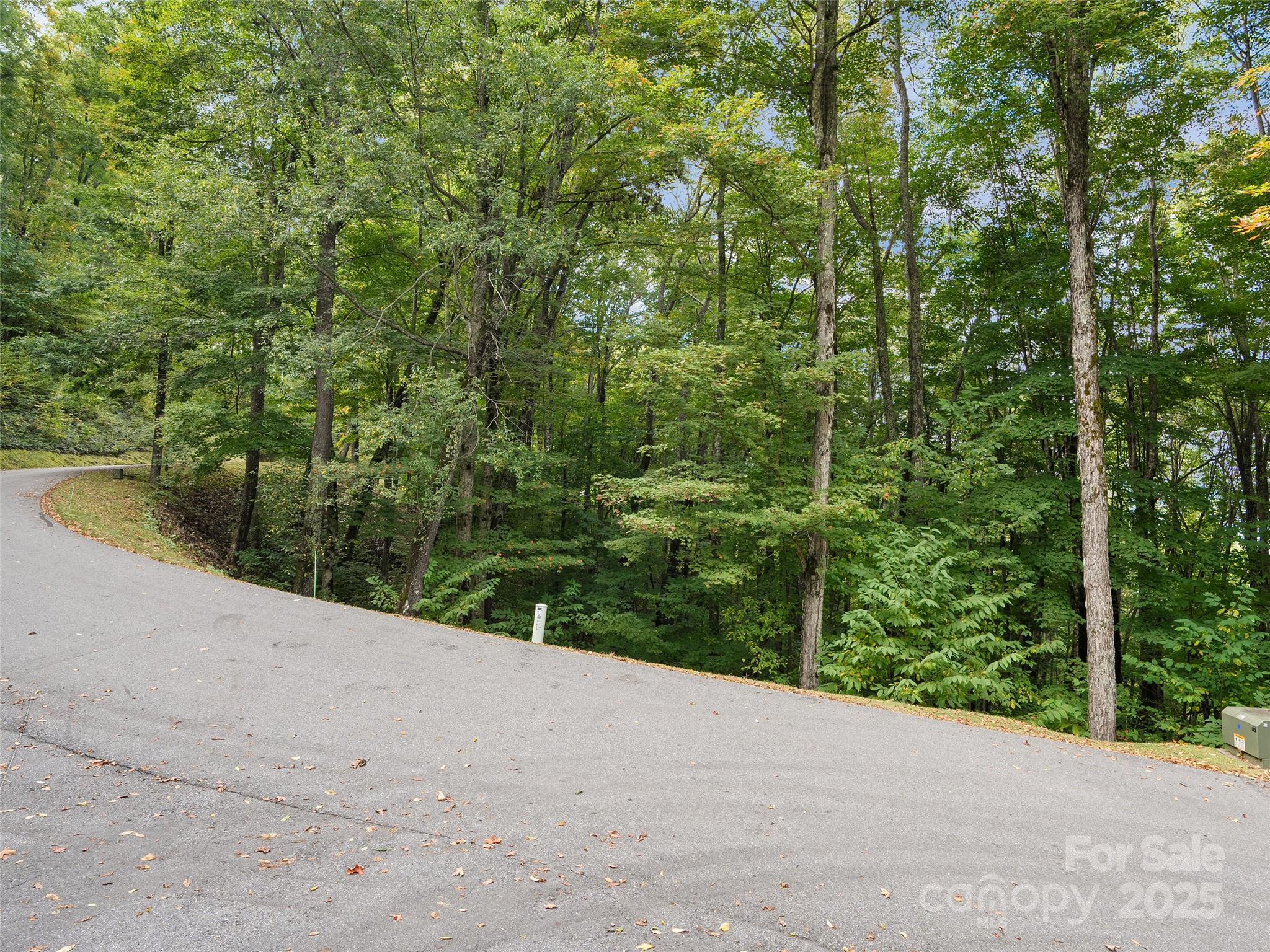 Highland Forest - Land