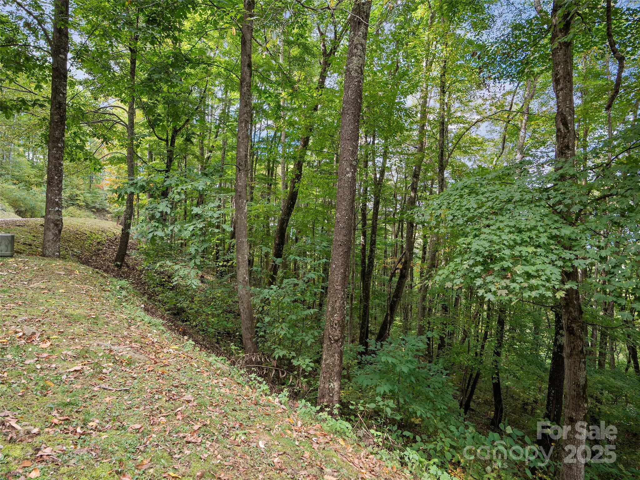 Highland Forest - Land