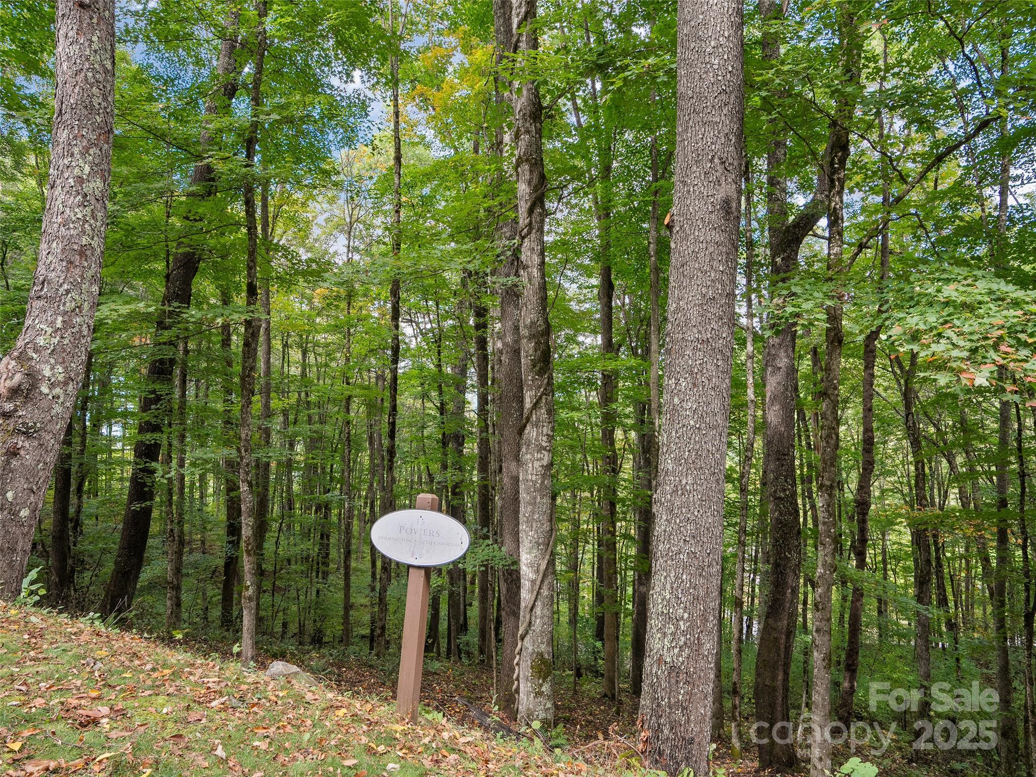 Highland Forest - Land