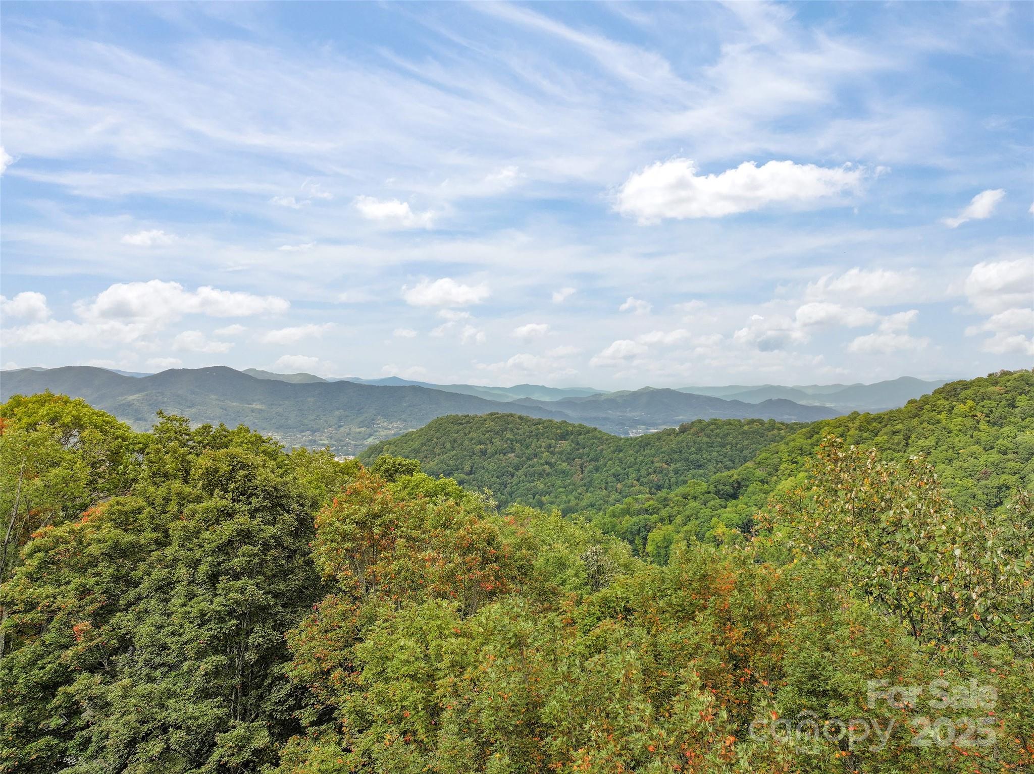 Highland Forest - Land