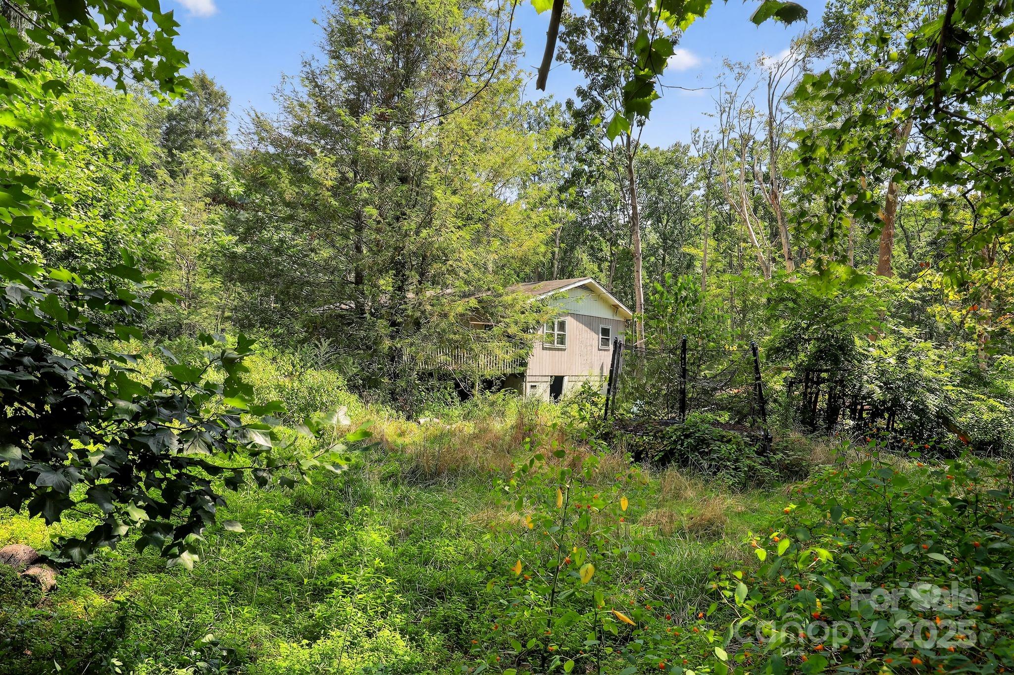 1339 Bee Tree Road