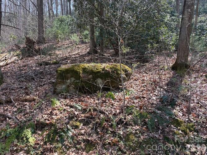 TBD Coyote Hollow Road 66