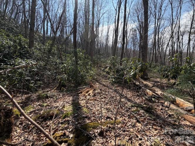 TBD Coyote Hollow Road 66