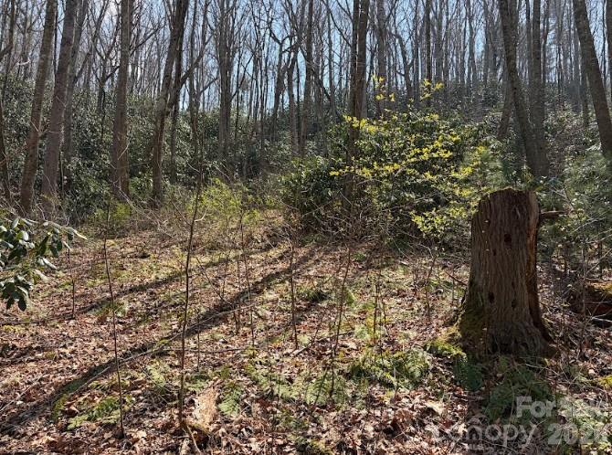 TBD Coyote Hollow Road 66