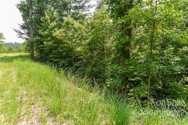 21 THE VINES BLVD, MARSHALL, NC 28753 - Image e05aa18164ec70f1ec9cc516d9f897bc/3493492732