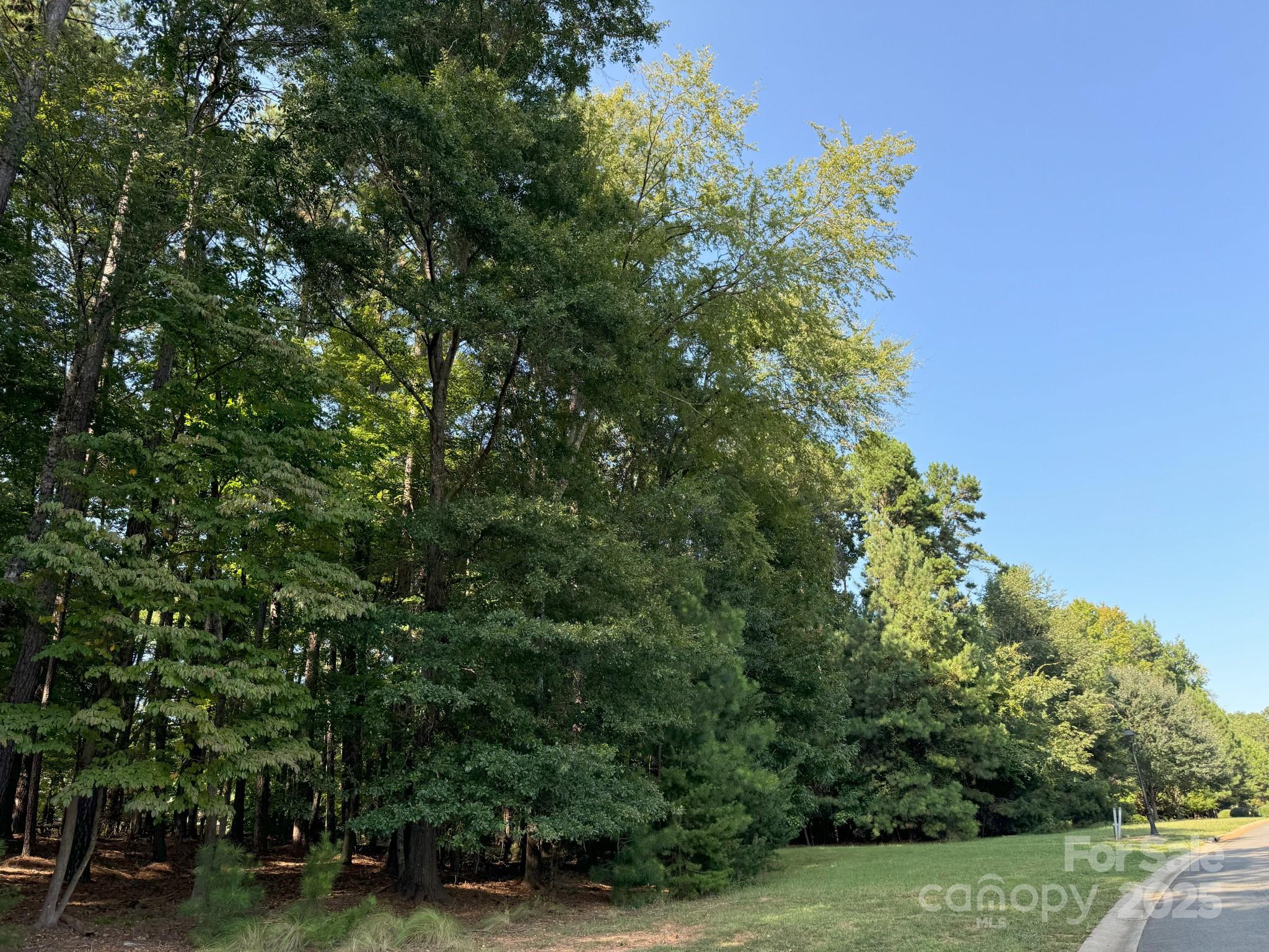 Reflection Pointe - Land