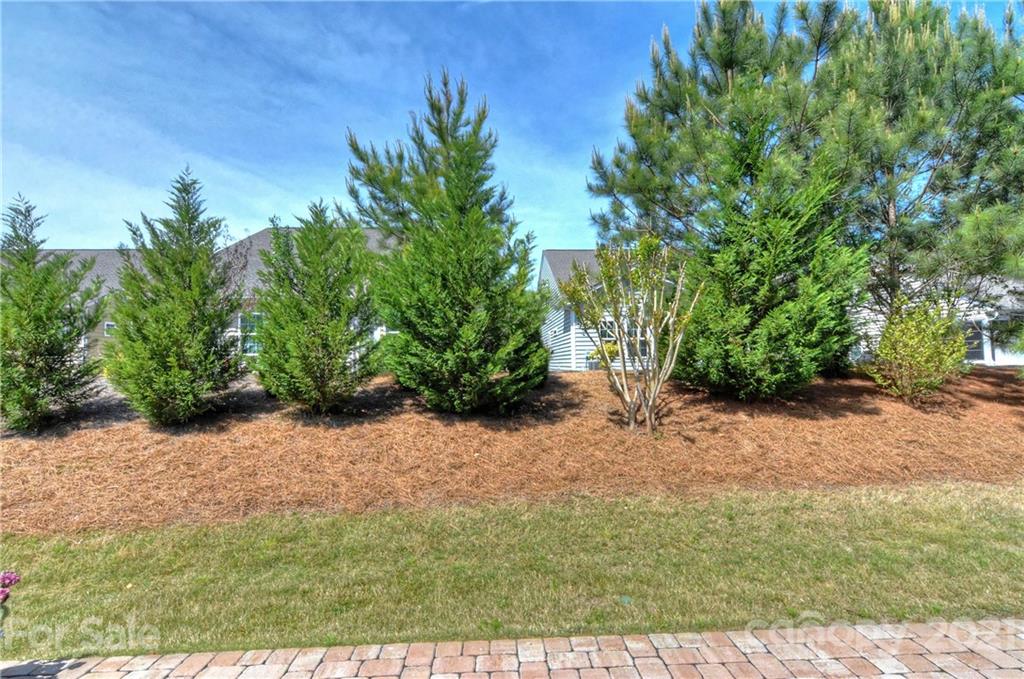 Carolina Reserve - Residential