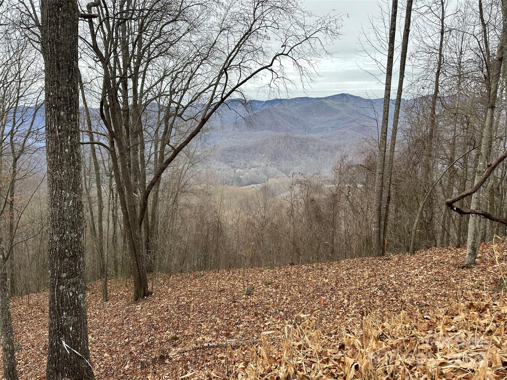 Balsam Mountain Preserve - Land