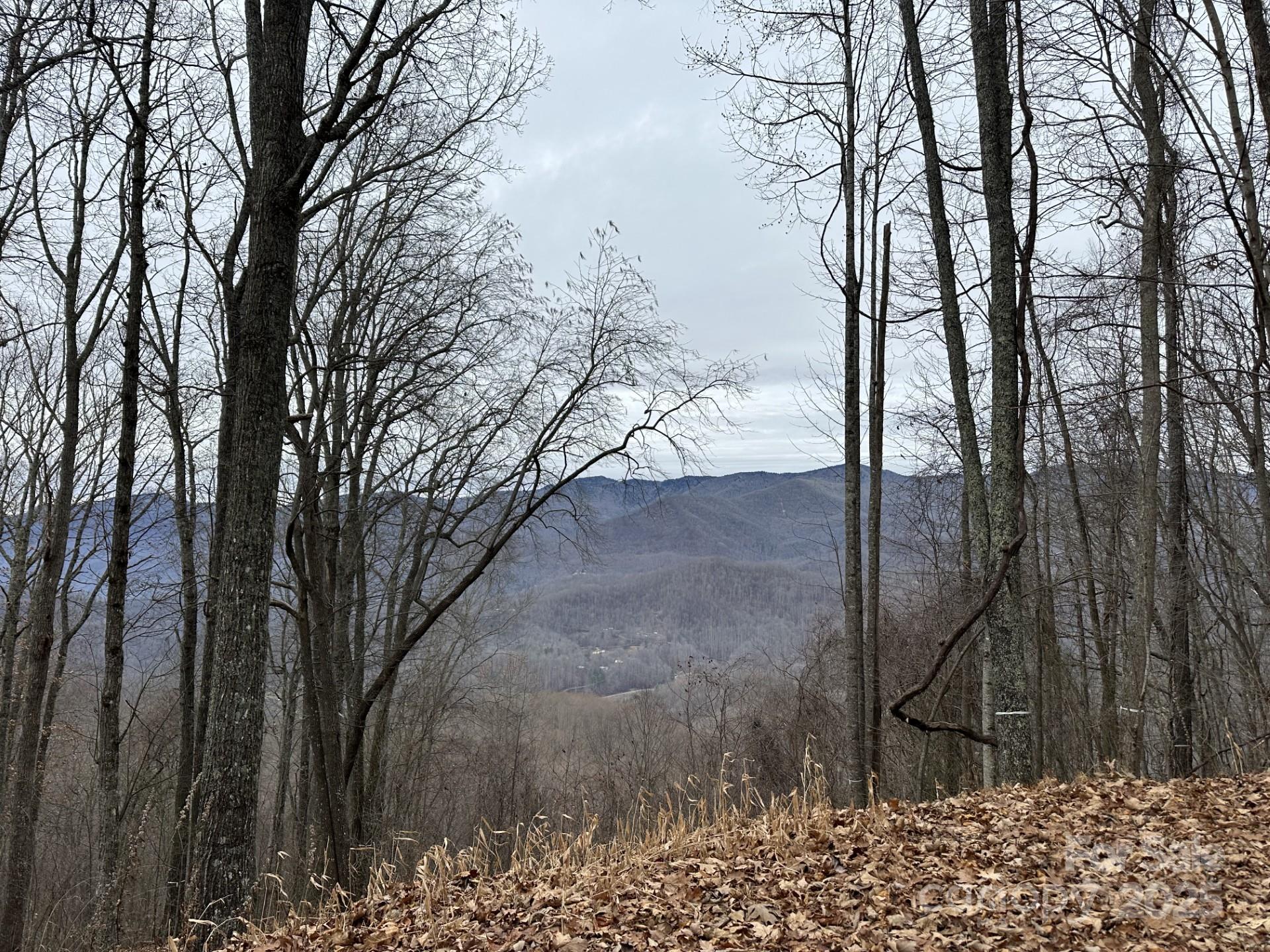 768 Boar Ridge Road 121