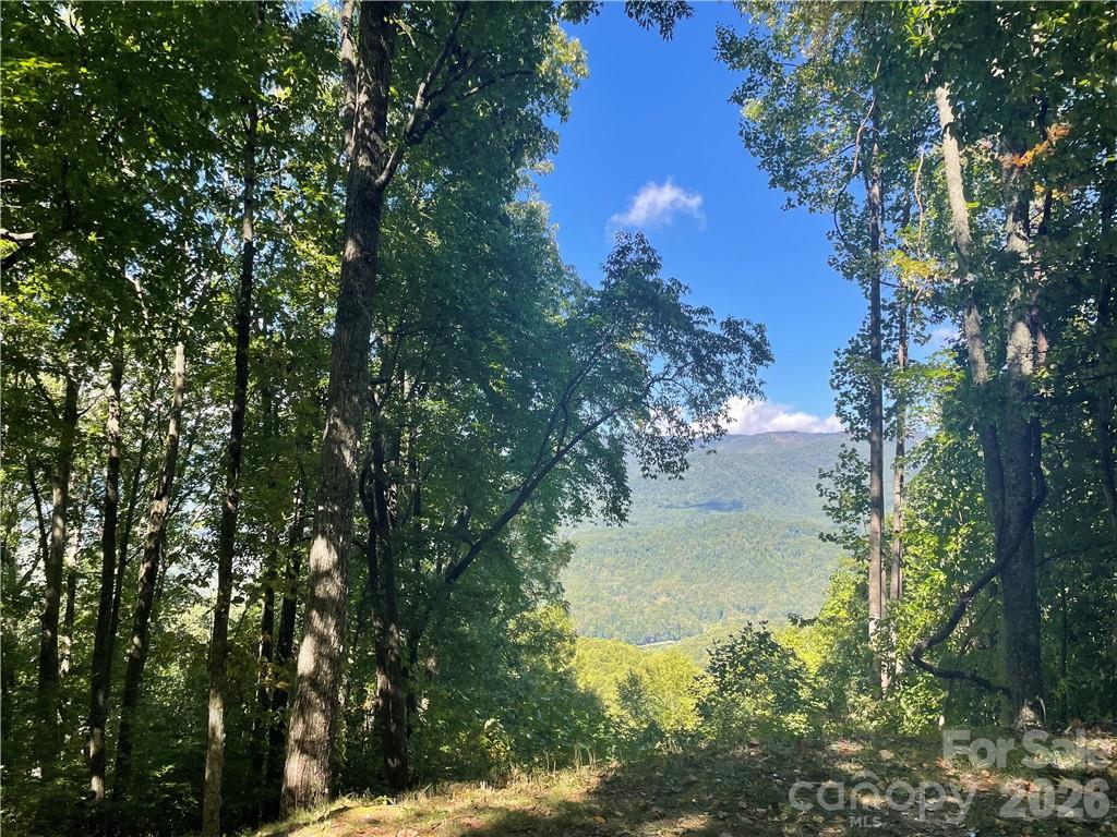 Balsam Mountain Preserve - Land
