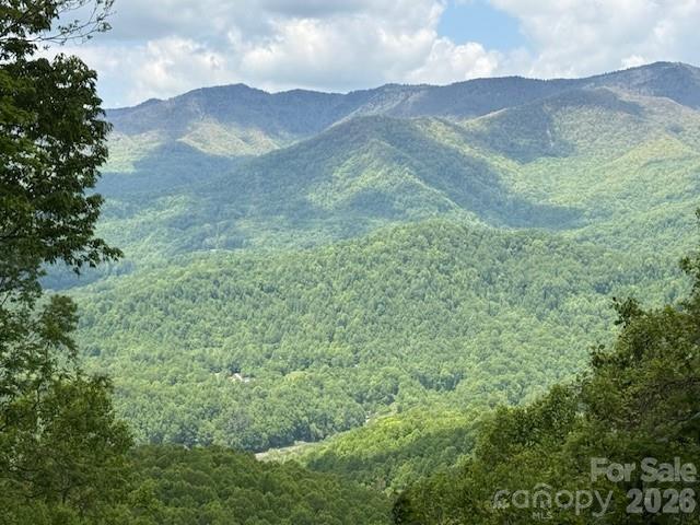 Balsam Mountain Preserve - Land
