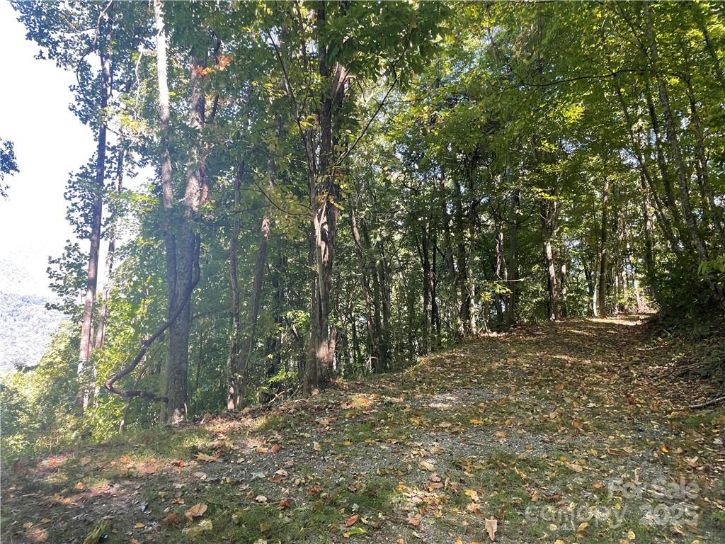 Balsam Mountain Preserve - Land