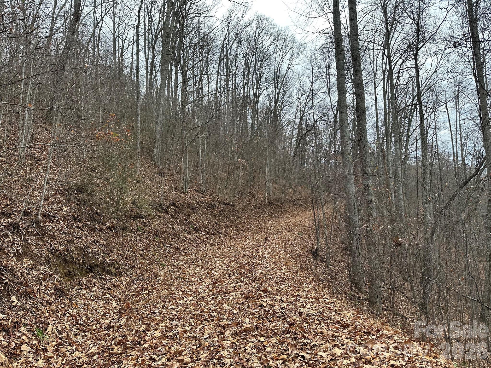 Balsam Mountain Preserve - Land