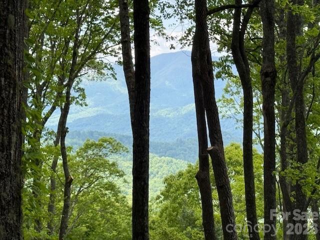 Balsam Mountain Preserve - Land