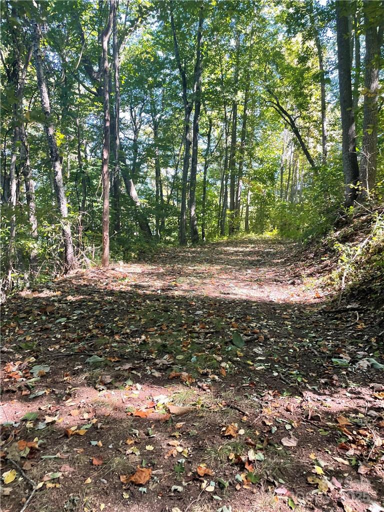 Balsam Mountain Preserve - Land