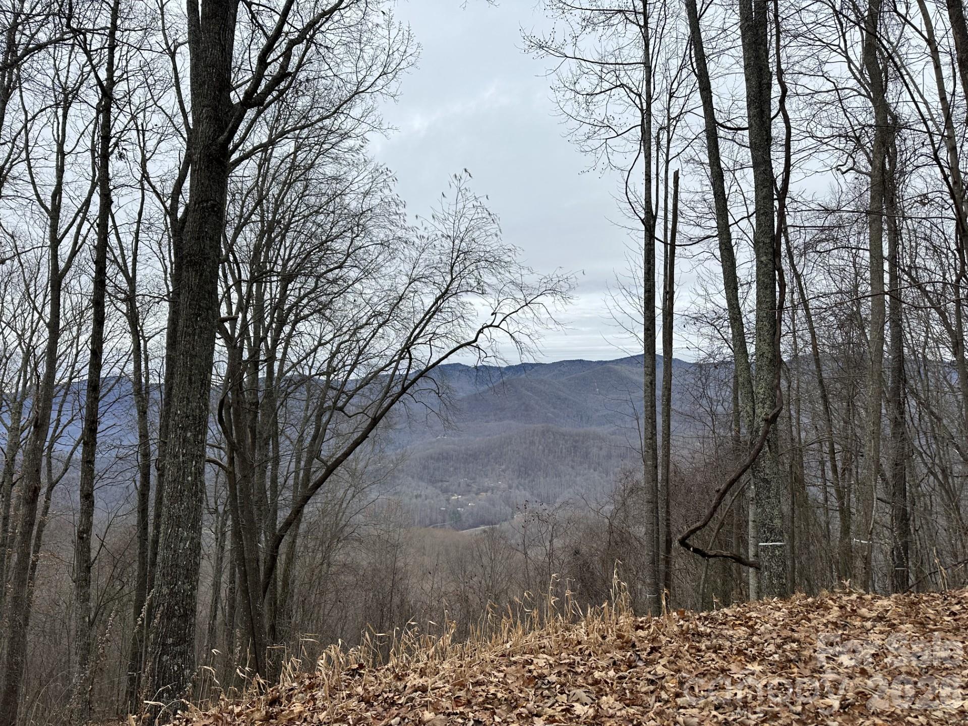 Balsam Mountain Preserve - Land