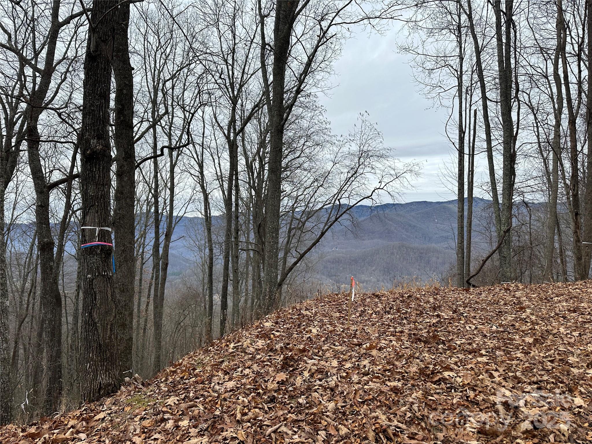 768 Boar Ridge Road 121