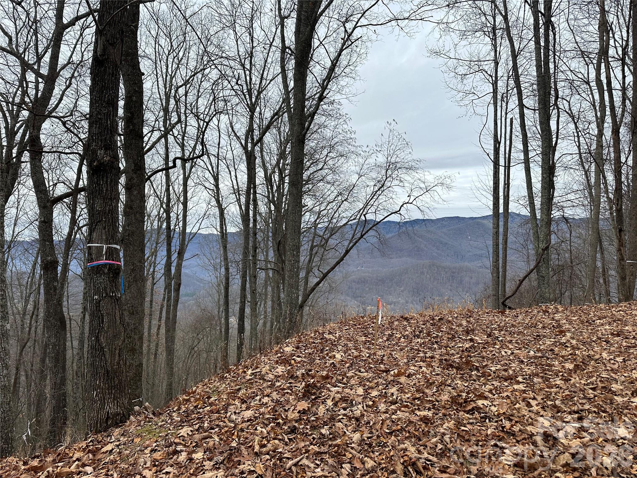 Balsam Mountain Preserve - Land