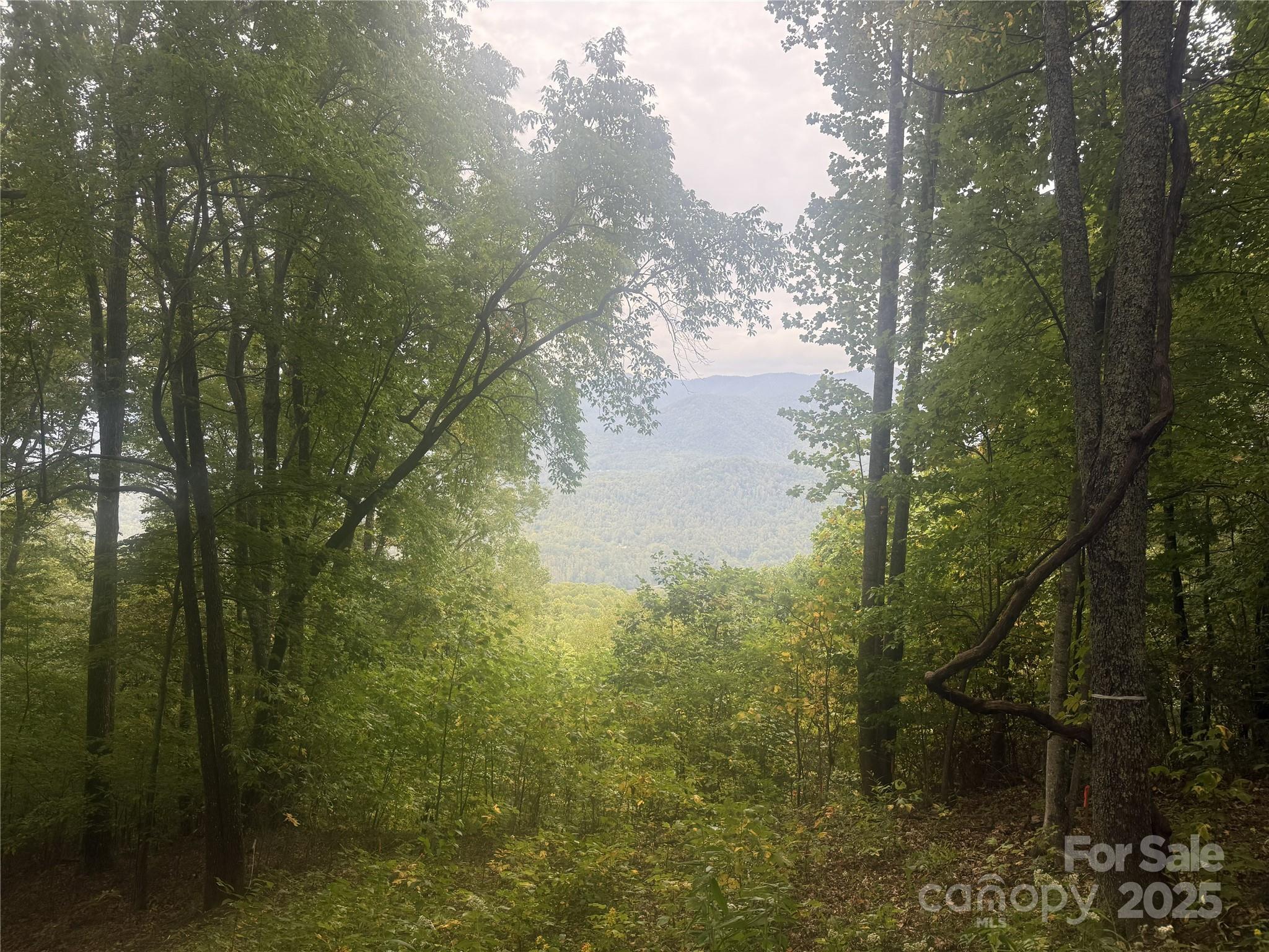 Balsam Mountain Preserve - Land