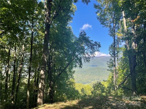 Photo of 768 Boar Ridge Road #121, Sylva, NC 28713 (MLS # 4311666)