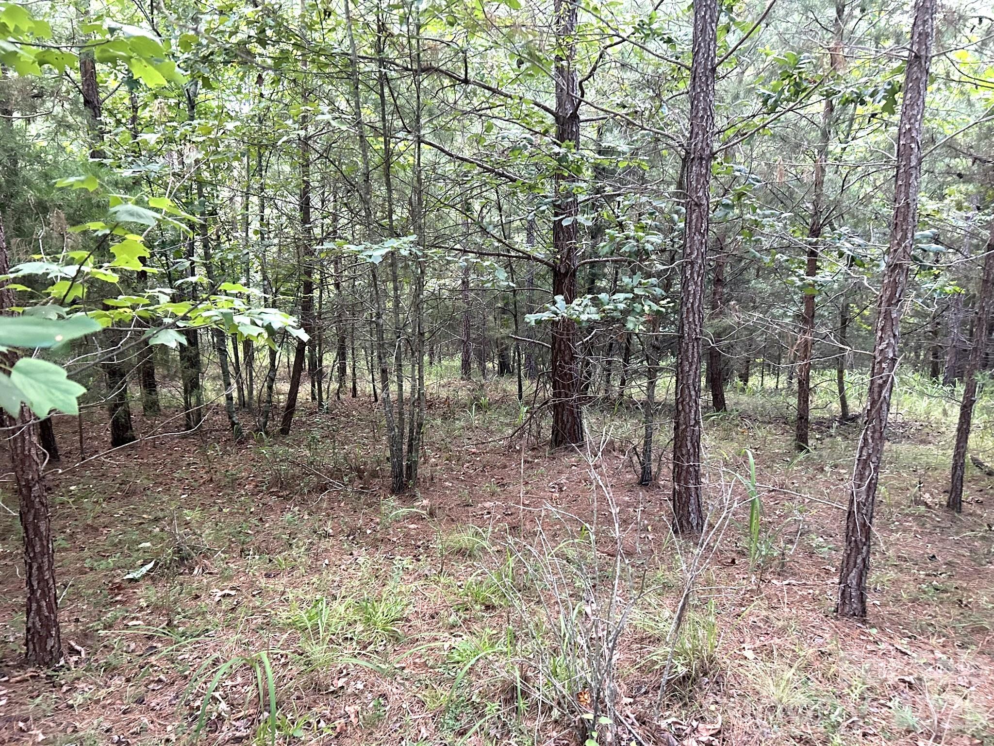 00 Cross Creek Drive 277