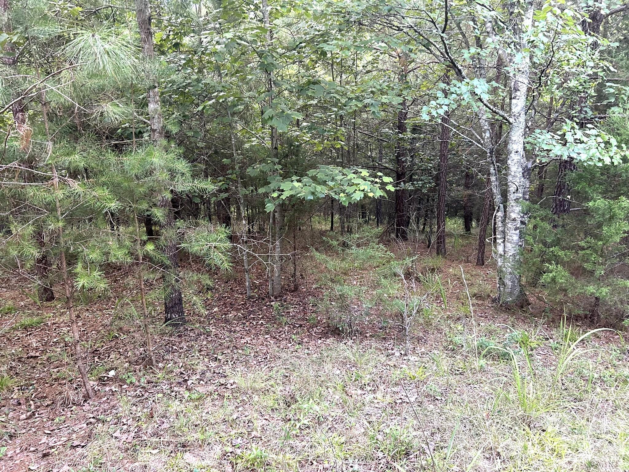 00 Cross Creek Drive 277