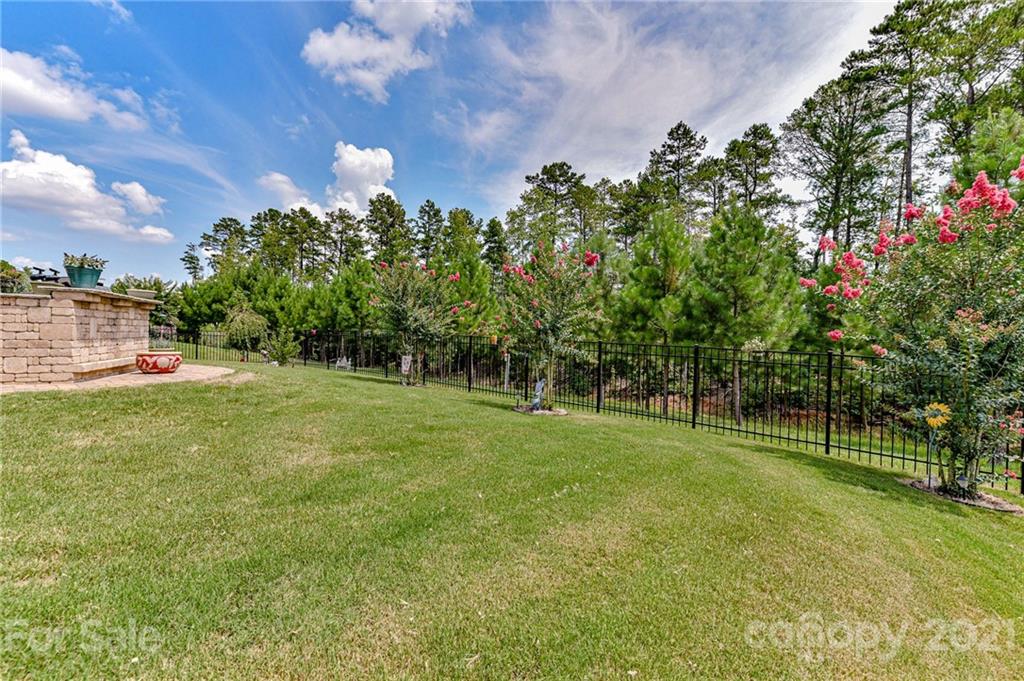 Tree Tops - Residential