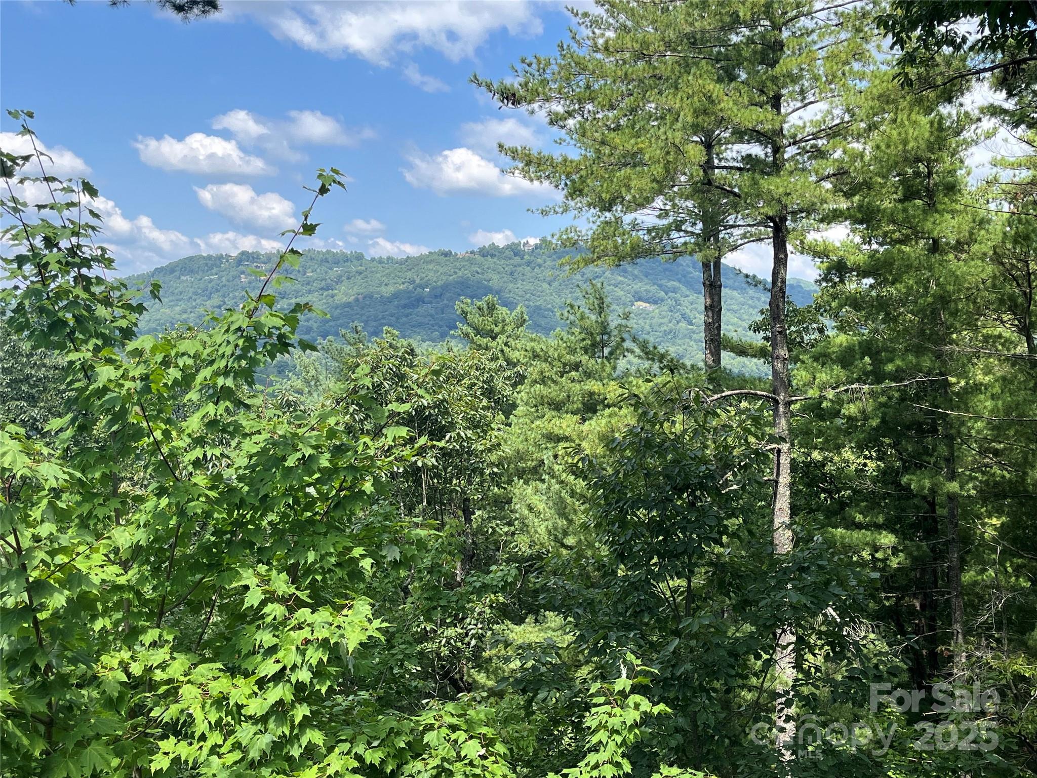 2902 Timber Trail